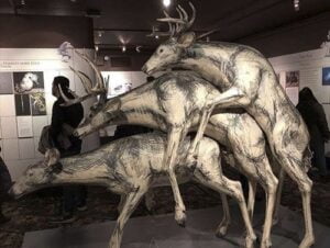 museu-of-sex-93-300x226 museu-of-sex-93