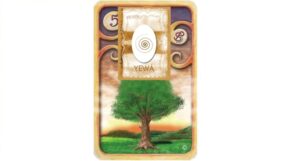 yewa-arvore-300x161 yewa arvore