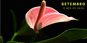 dazzle-300x149 SETEMBRO-MES-DO-SEXO