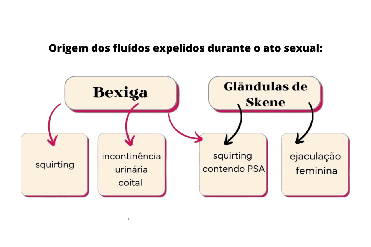 Tudo Sobre Squirting E Ejaculação Feminina Mercado Erótico