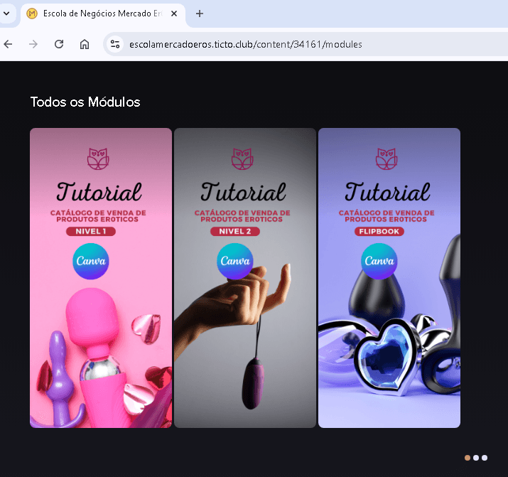 como-montar-um-catalogo-de-produtos-sensuais Sex Shop no Google: Rankeando o Sucesso