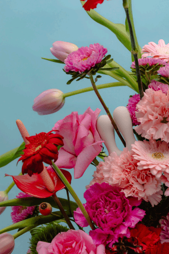Margos-au Margo’s: Sexo e Flores em uma Proposta Inédita na Austrália